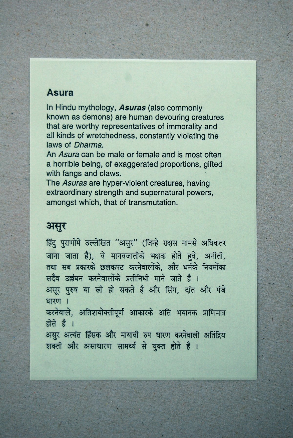 ilustração / illustration