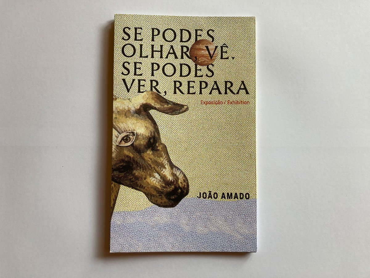 Se Podes Olhar Vê Se Podes Ver Repara